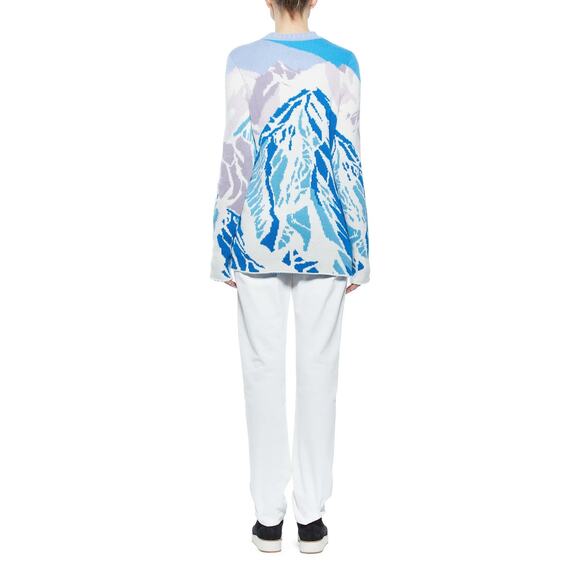 Gabriela Hearst Ines Cashmere Crew Neck Aspen Pullover Sweater Size L NWT - Picture 2 of 9